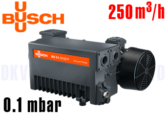 Bơm chân không Busch R5 RA 0255 D