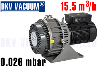 Bơm chân không DLWX300