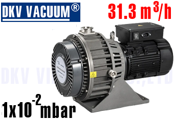 Bơm chân không DLWX600