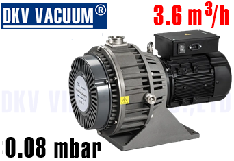 Bơm chân không DLWX75