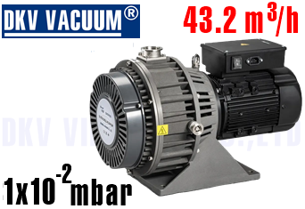 Bơm chân không DLWX800