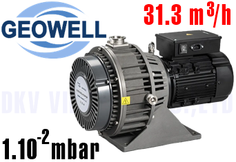 Bơm chân không Geowell GWSP600