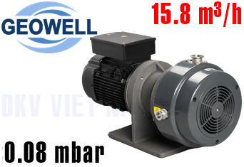 Bơm chân không Geowell GWSPS300