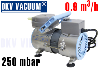 Bơm chân không thí nghiệm GM-0.20