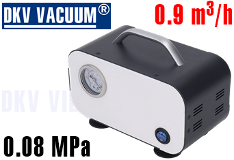 Bơm chân không thí nghiệm VP-15S