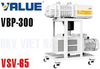 Bơm chân không Value VSV65/300