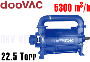 Bơm chân không vòng nước DooVac DSDH 44645
