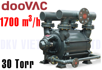 Bơm chân không vòng nước DSSH 12400